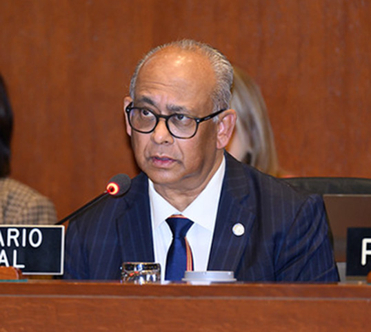 OEA presenta avances de apoyo a Haití